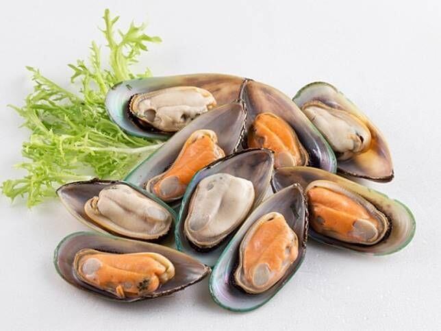 Green Mussel